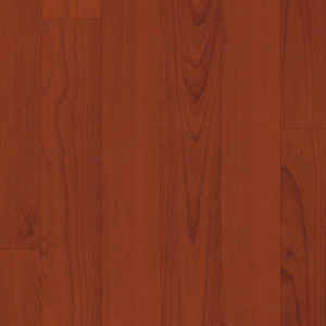 Acczent BRAZILIAN CHERRY 81031 Swatch