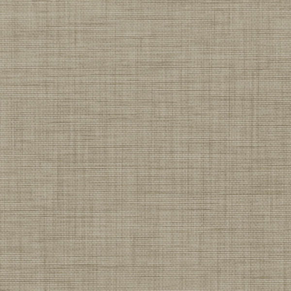 Acczent MEDIUM GREGE 83017 Swatch