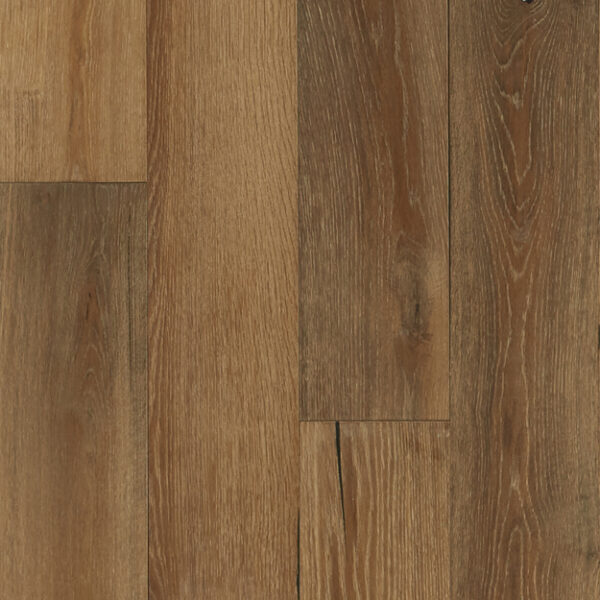 Golden Timber - Image 2