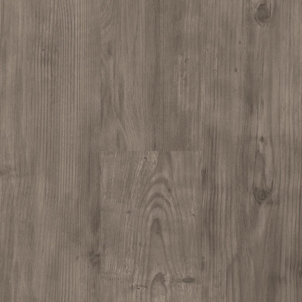 Acadia Pine 5136