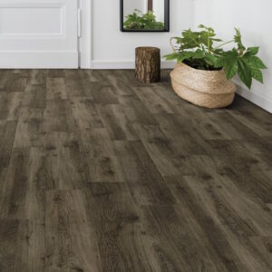 White Oak Ironsides
