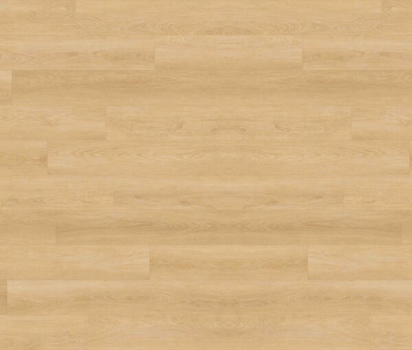 Sand Dune - Image 2