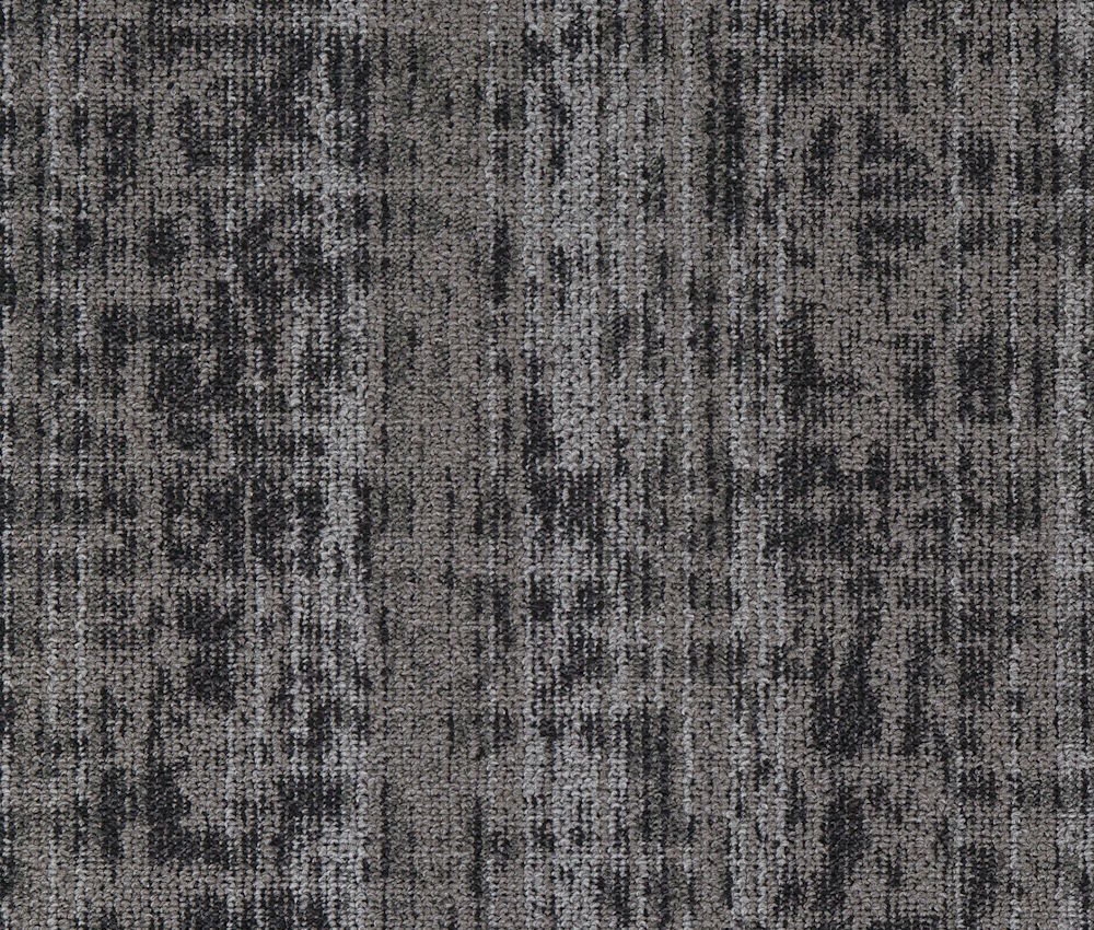 Coastal Storm - Image 3