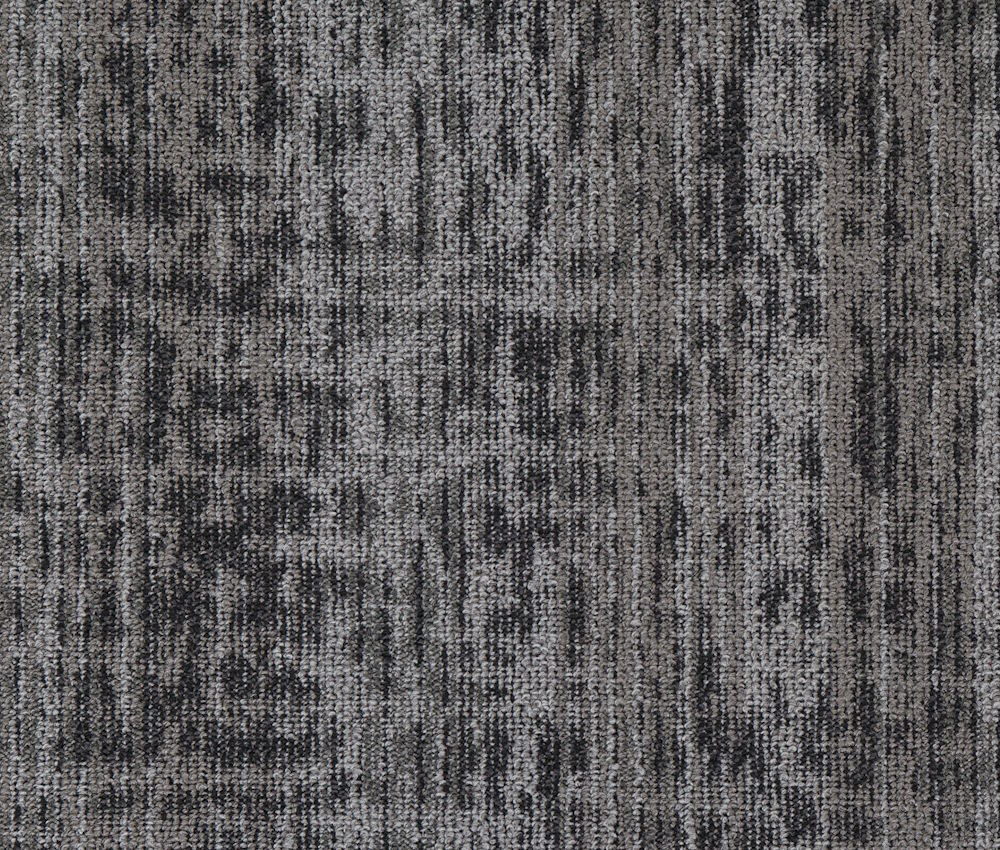 Coastal Storm - Image 4