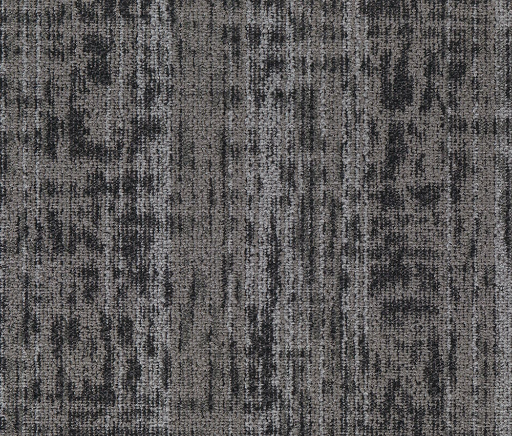 Coastal Storm - Image 6