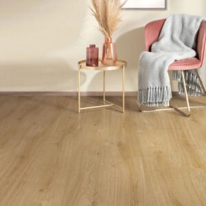 Sunset Oak