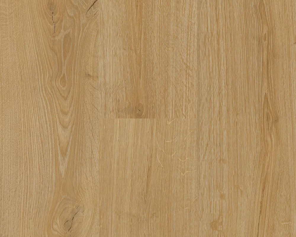 Sunset Oak - Image 2