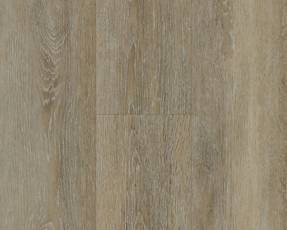 Shoreline Oak - Image 2