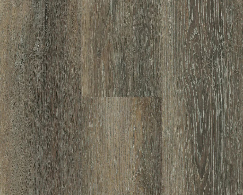 Falcon Oak - Image 2