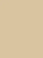 Beige Tone Thumbnail