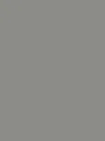 Gray Tone Thumbnail