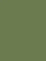 Green Tone Thumbnail