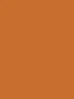 Orange Tone Thumbnail