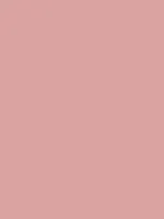 Pink Tone Thumbnail