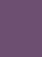 Purple Tone Thumbnail