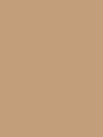 Tan Tone Thumbnail