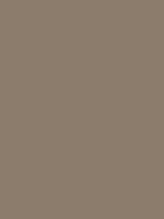 Taupe Tone Thumbnail